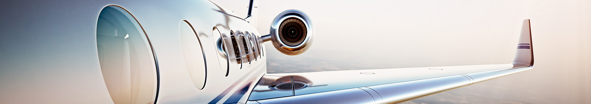 Aviation Litigation - Shackelford, Bowen, McKinley & Norton, LLP